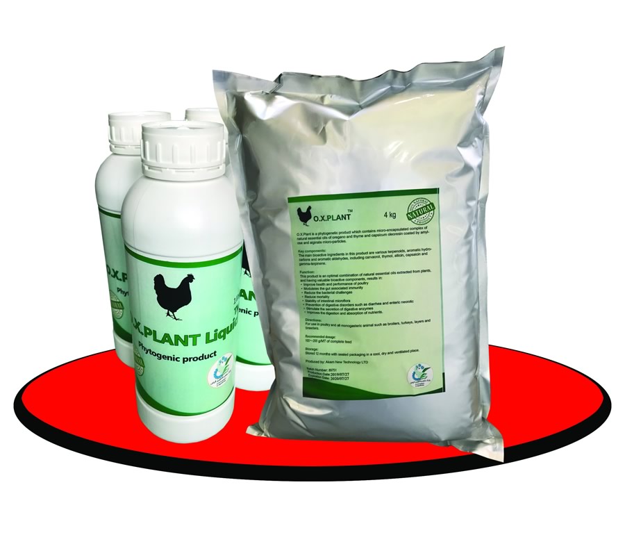 image of product تولید افزودنی گیاهی خوراک طیور