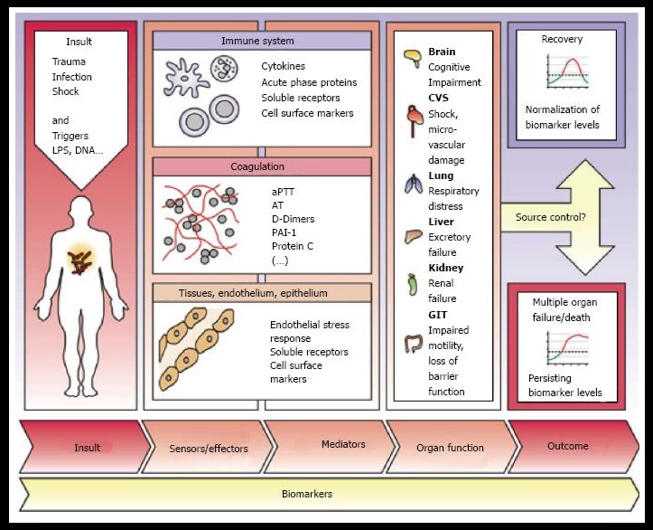 image of product الگوریتم پیش بینی زودهنگام سپسیس در بخش مراقبت های ویژه مبتنی بر هوش مصنوعی