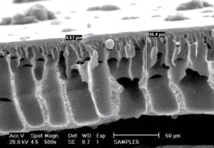 image of product غشای ماتریس آمیخته جهت حذف CO2
